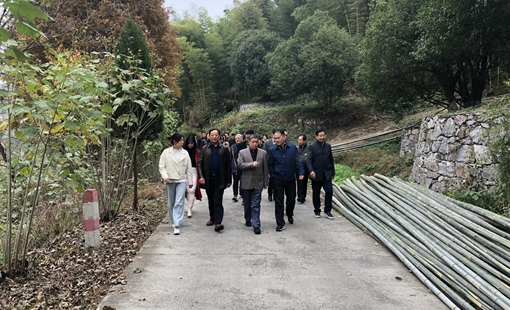 11月12-13日，市企联企业家活动日在南陵开展“南陵赏秋”活动