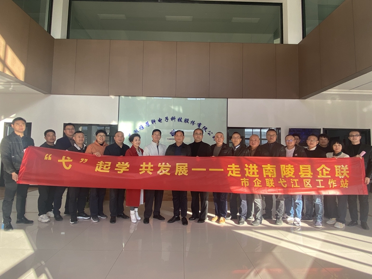 市企联弋江区工作站来陵调研