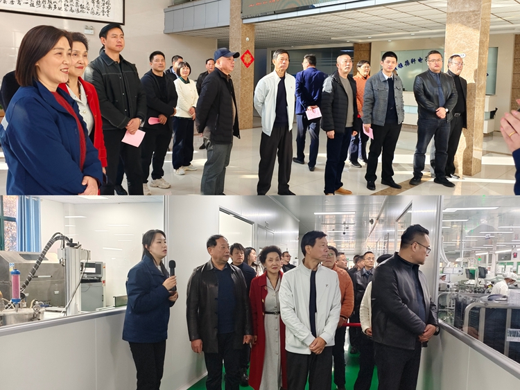 市企联弋江区工作站来陵调研