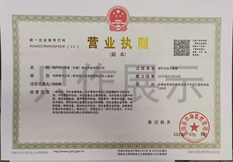 新投物产中大舜富（安徽）镁业科技有限公司